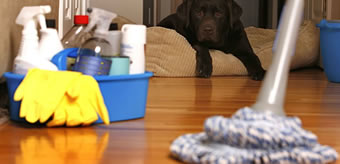 Commercial Cleaning in Hartlepool