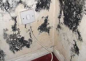 Hartlepool Mould Remediation